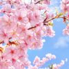 春向けに揃えた防災セットの紹介記事
